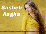 Sasheh Aagha Wallpaper