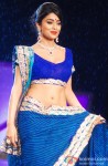 Shriya Saran at Shaina NC's fashion show for CPAA