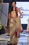 Tara Sharma at Shaina NC's fashion show for CPAA