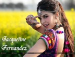 Jacqueline Fernandez Wallpaper