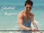 Shahid Kapoor Wallpaper 5
