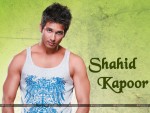Shahid Kapoor Wallpaper 6