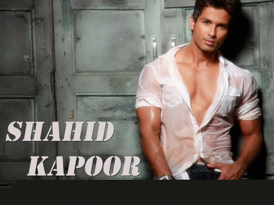 Shahid Kapoor Wallpaper 7