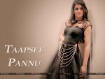 Taapsee Pannu Wallpaper 1