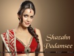 Shazahn Padamsee Wallpaper 1