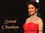 Sonal Chauhan Wallpaper 1