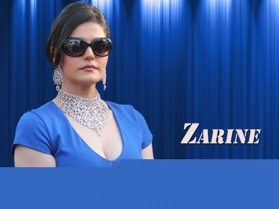 Zarine Khan Wallpaper 2
