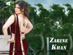 Zarine Khan Wallpaper 3
