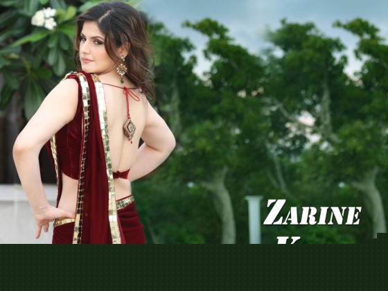 Zarine Khan Wallpaper 3