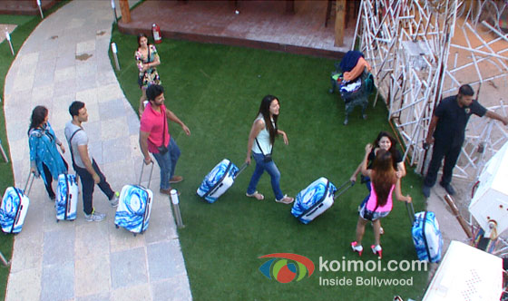Anita Advani, Asif Azim, Kushal Tandon, Shilpa Sakhlani, Gauhar Khan And Tanisha Mukherjee In Bigg Boss 7 Pic 1