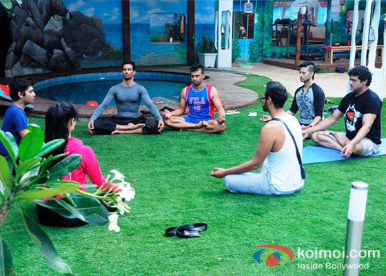 Asif Azim, Sangram Singh And Armaan Kohli And VJ Andy in Bigg Boss 7 Asif Azim, Sangram Singh And Armaan Kohli And VJ Andy in Bigg Boss 7