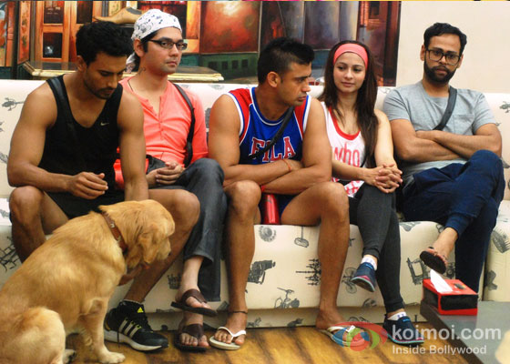 Asif Azim, Sangram Singh, Tanisha Mukherjee And VJ Andy in Bigg Boss 7