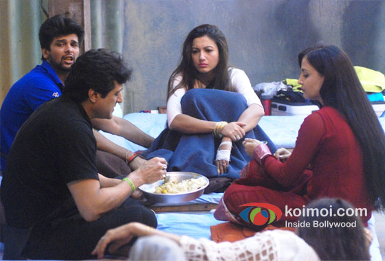 Kushal Tandon, Armaan Kohli, Gauhar Khan And Elli Avram in Bigg Boss 7