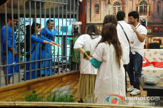 Sangram Singh, Elli Avram And VJ Andy in Bigg Boss 7