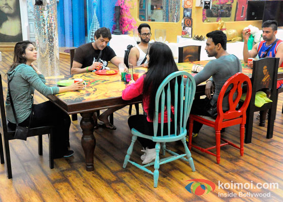 Tanisha Mukherjee, Armaan Kohli, VJ Andy Sangram Singh, Elli Avram And Asif Azim in Bigg Boss 7