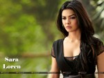 Sara Loren Wallpaper 1
