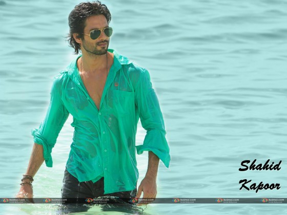 Shahid Kapoor Wallpaper 9