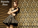 Bipasha Basu Wallpaper 2
