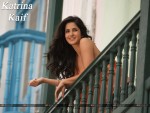 Katrina Kaif Wallpaper 9