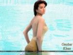 Gauhar Khan Wallpaper 1