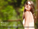 Nargis Fakhri Wallpaper 4