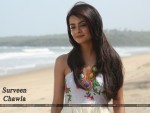 Surveen Chawla Wallpaper 3