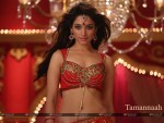 Tamannaah Wallpaper 3