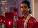 Shahid Kapoor Wallpaper 10