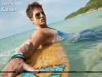 Shahid Kapoor Wallpaper 13