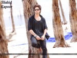 Shahid Kapoor Wallpaper 14