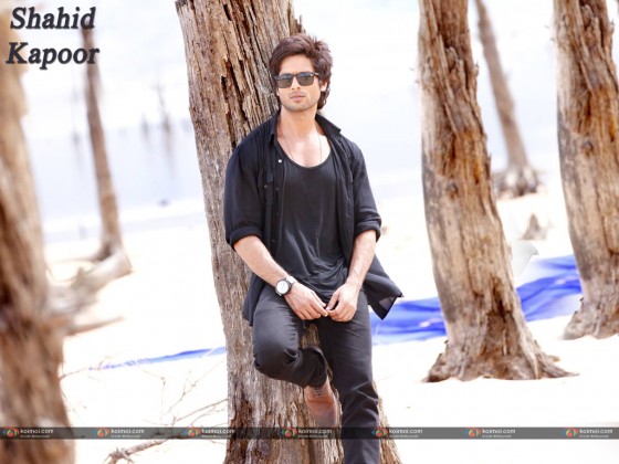 Shahid Kapoor Wallpaper 14