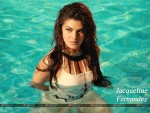 Jacqueline Fernandez Wallpaper 13
