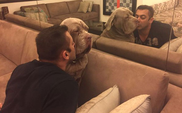Salman Khan shows 'unconditional' love for pet