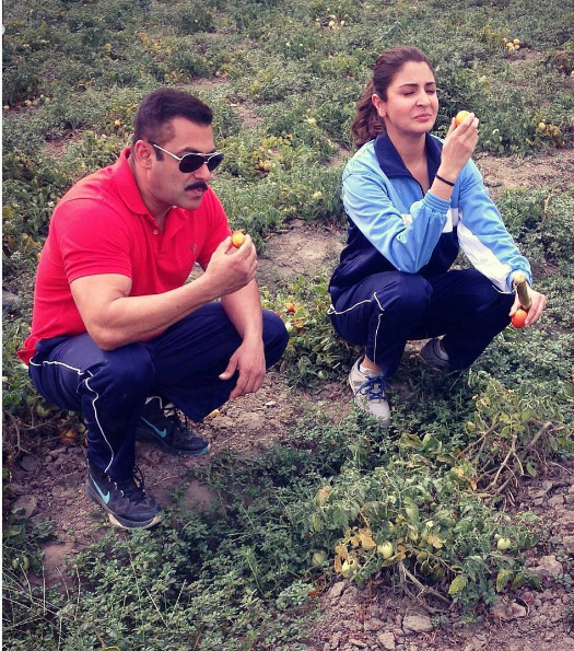 Salman-Anushka Enjoying Organic Tomatoes In Punjab's Farm