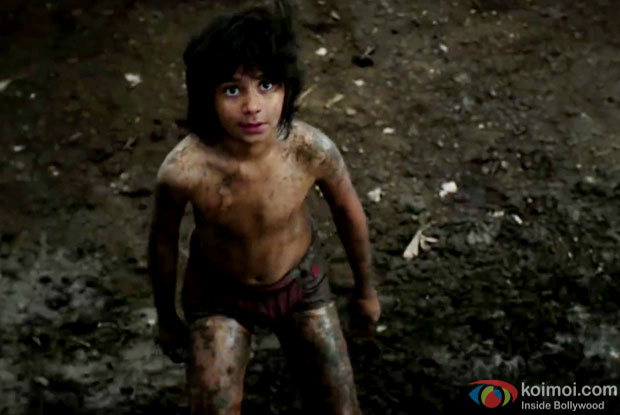 Box Office 6th Wednesday: The Jungle Book Collects More Than Tuesday
