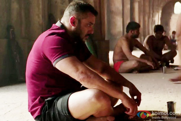 Sultan Crosses 290 Crores On Its 3rd Monday At The Box Office