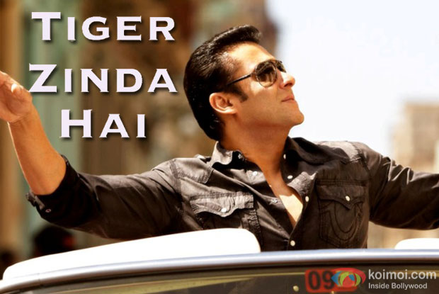 Character Detail Of Salman Khan In Tiger Zinda Hai