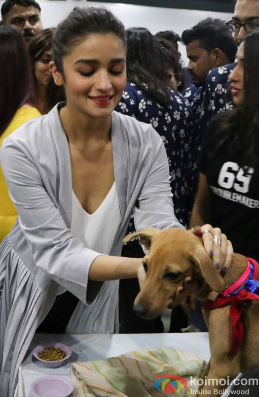 Alia Bhatt during the pups and kitten adoption camp