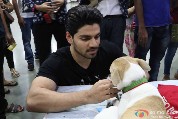 Sooraj pancholi during the pups and kitten adoption camp