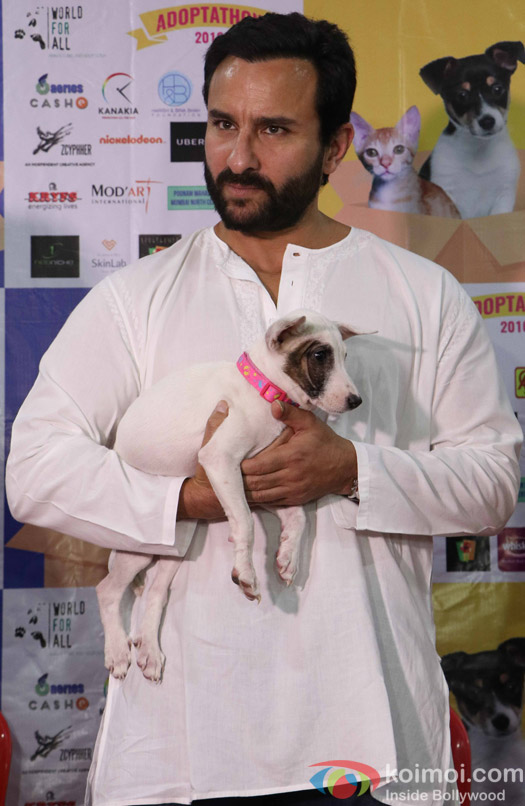 Saif Ali Khan during the pups and kitten adoption camp