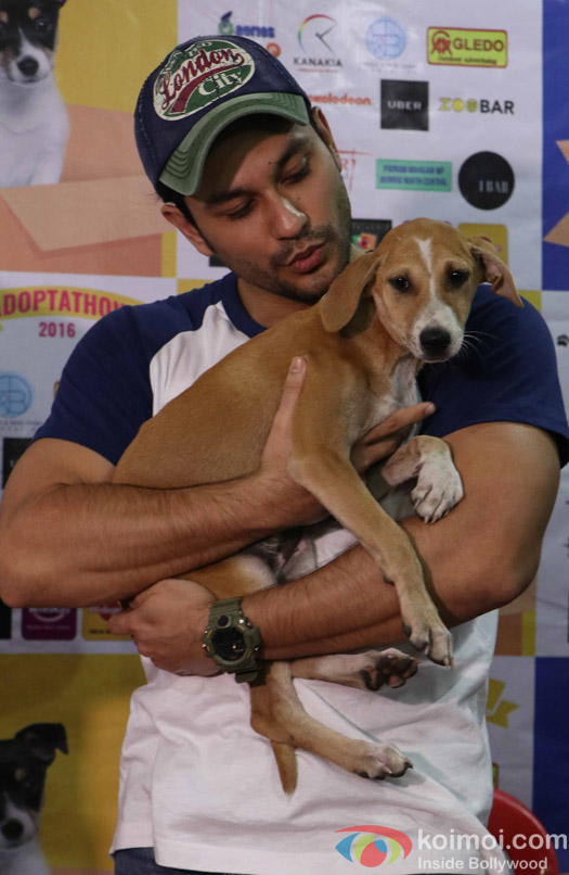 Kunal Khemu during the pups and kitten adoption camp