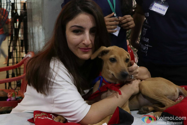 Soha Ali Khan during the pups and kitten adoption camp