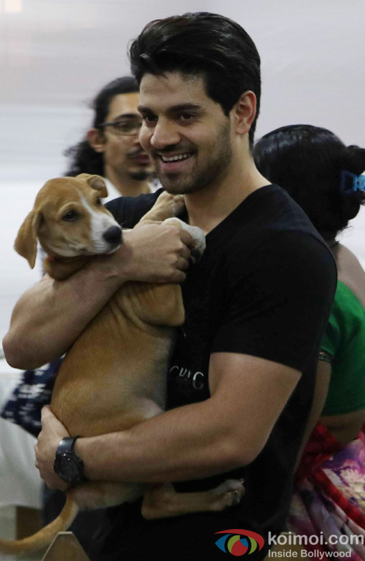 Sooraj pancholi during the pups and kitten adoption camp