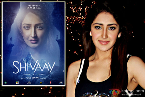 'Shivaay' was a learning experience for me: Sayyeshaa Saigal