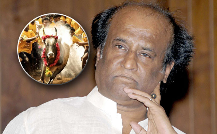 Rajinikanth bats for Jallikattu