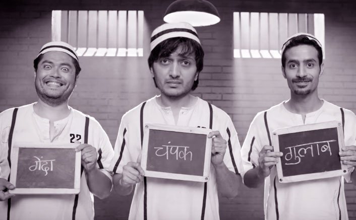 Bank Chor Box Office