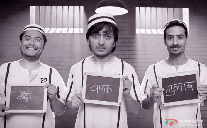 Bank Chor Receives Poor Response At The Box Office | Morning Occupancy Report 