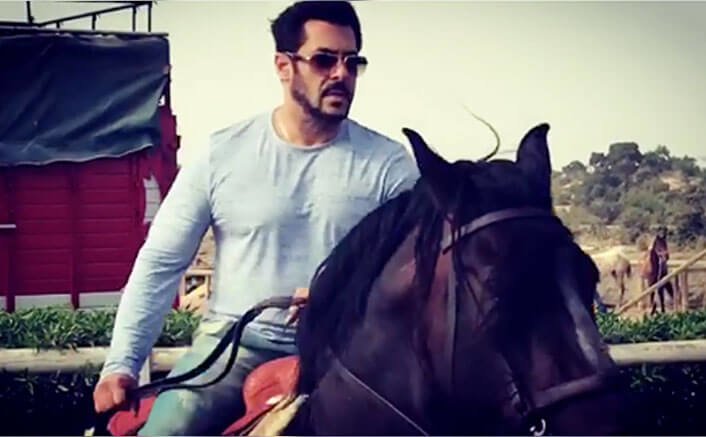 Salman Khan Takes Horse Training Session For Tiger Zinda Hai
