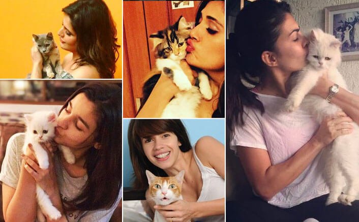 International Cat Day: 5 Cat lovers of Bollywood