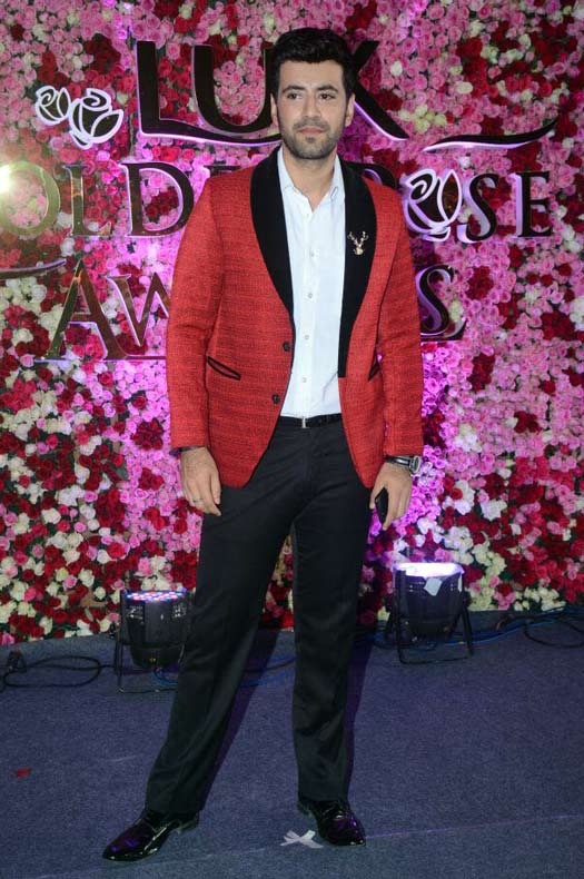 Here's How Bollywood's Leading Ladies Glammed Up The Rd Carpet Of Lux Golden Rose Awards